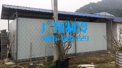 1517470191577701